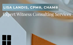 landis-expert-witness-logo.jpg